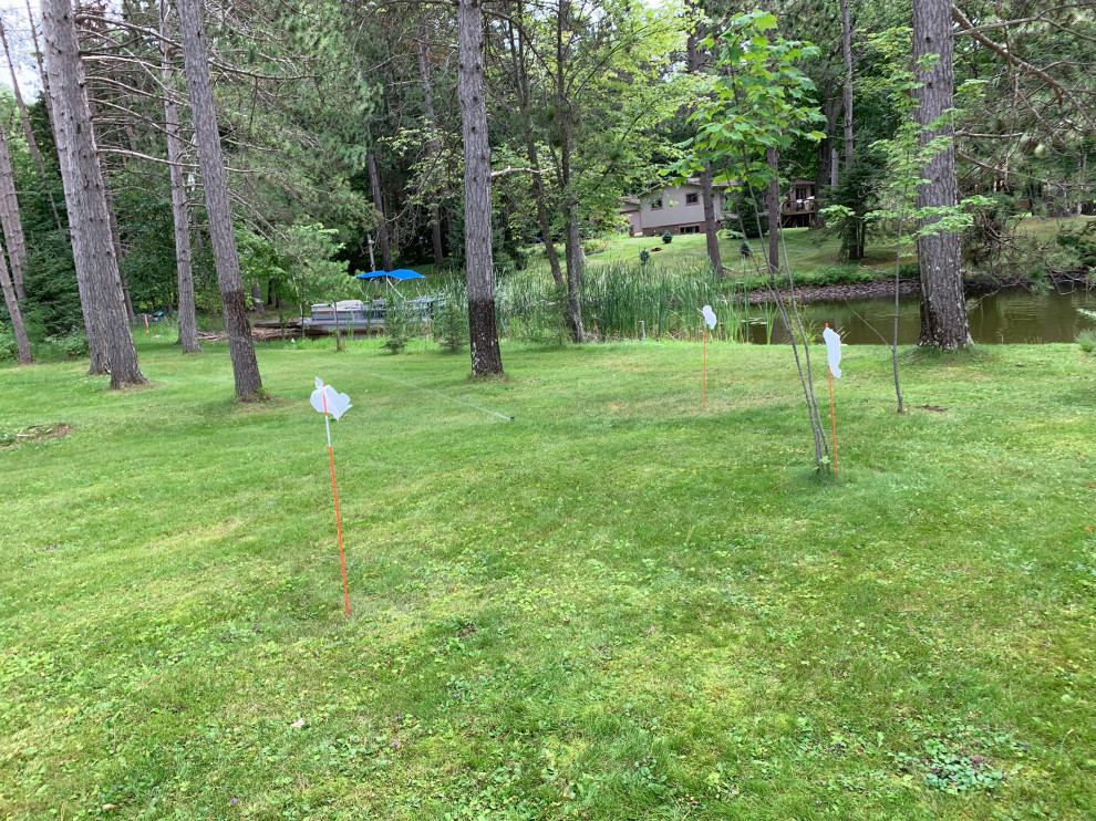 BEFORE- Instant Forest in Wisconsin