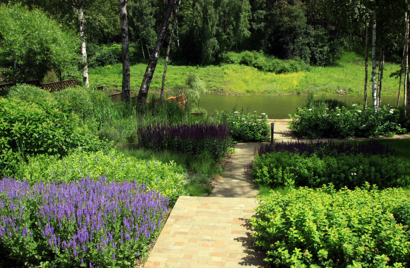 Проект "Волны". Нижний сад