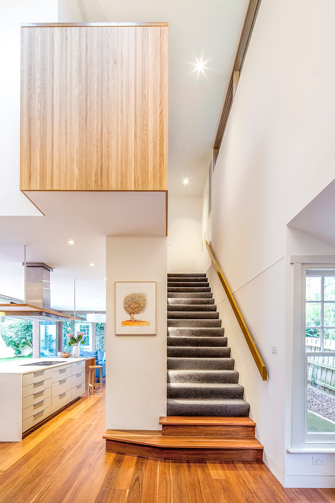 This is an example of a contemporary carpeted straight staircase in Melbourne with carpet risers and wood railing.