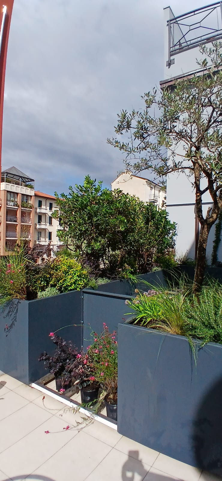 Realizzazione Terrazza dai sapori mediterranei