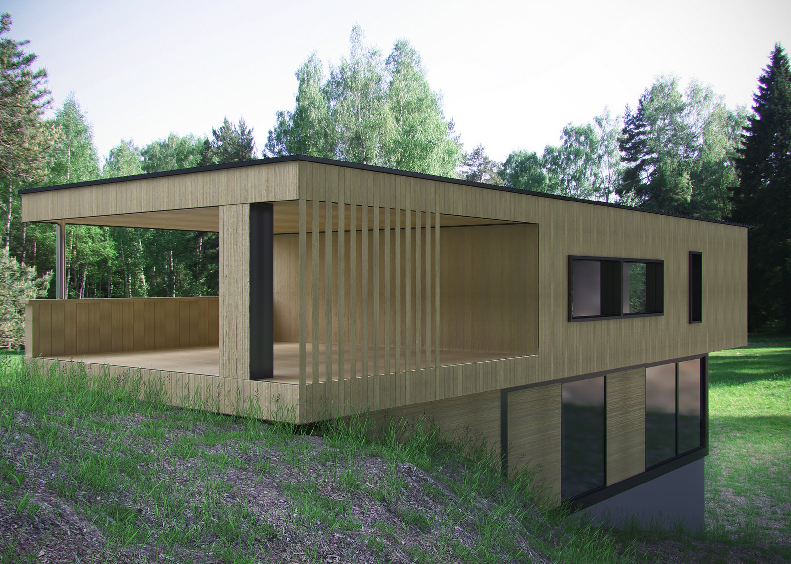 Визуализация частного дома