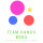 Team Handy Bros LLC
