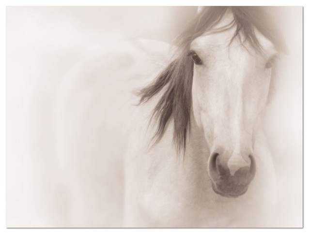 Large wall art • horse photography • black and white photography 16x20 Large wall art • horse photography • black and white photography 16x20