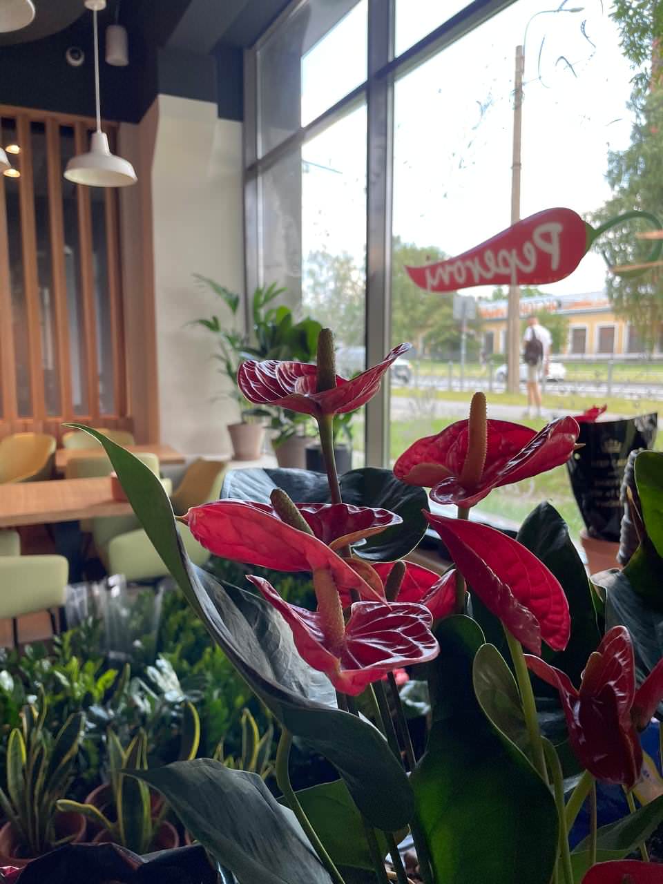 Пиццерия Peperoni г. Санкт-Петербург