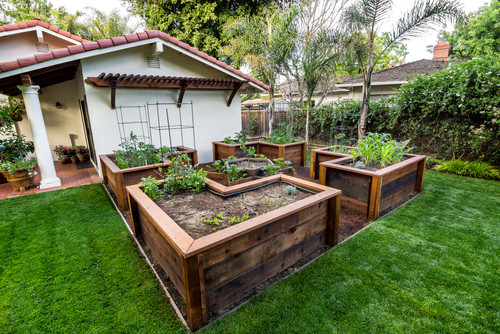 This yard has some interesting and well designed raised garden beds. These beds are so high, that it reduced the effort of maintaining the crops significantly. 