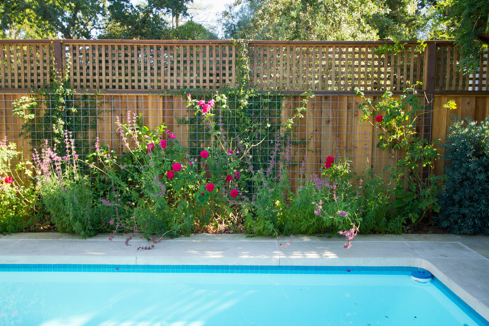 Design ideas for a transitional pool in San Francisco.