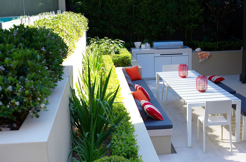 Inspiration for a contemporary backyard patio in Sydney.