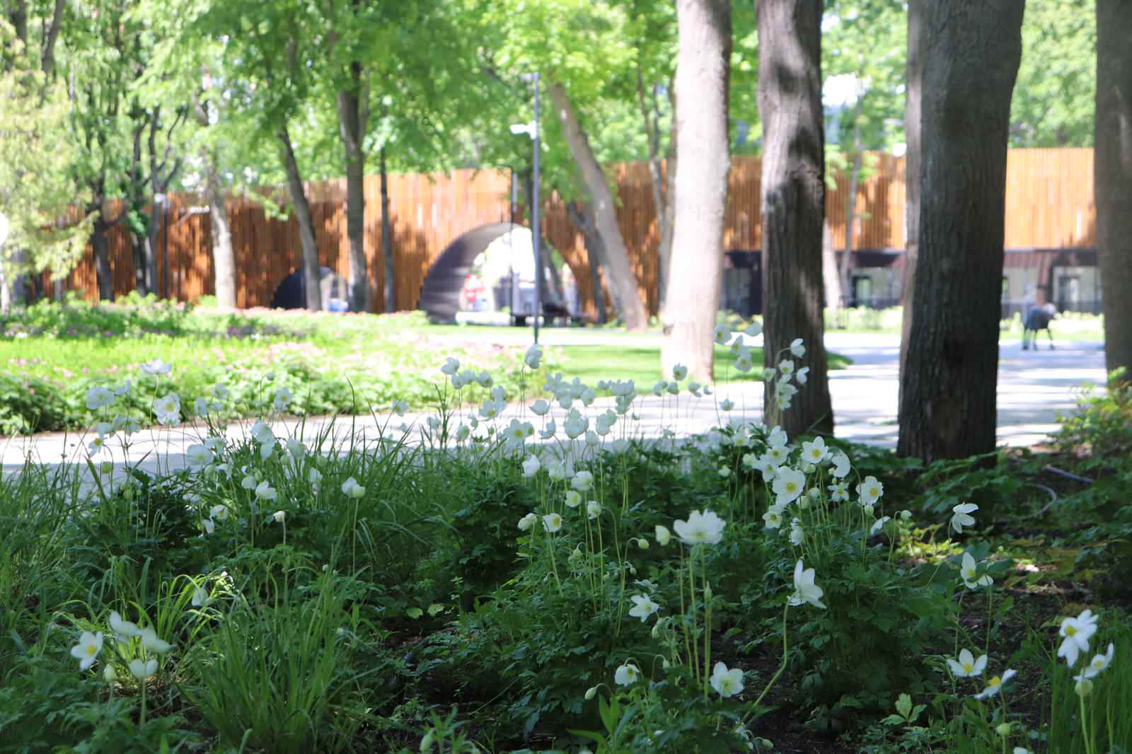 Парк Орленок