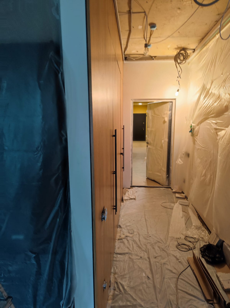 Интегрированная мебель и дверь в прихожей