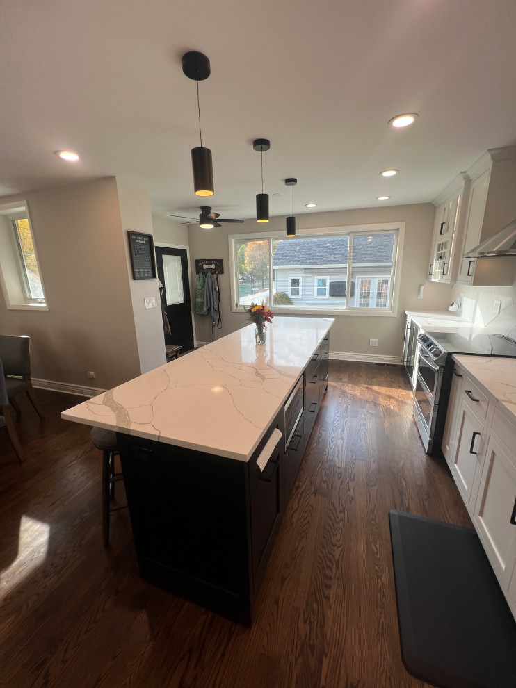 Chicago Kitchen/Dining Renovation