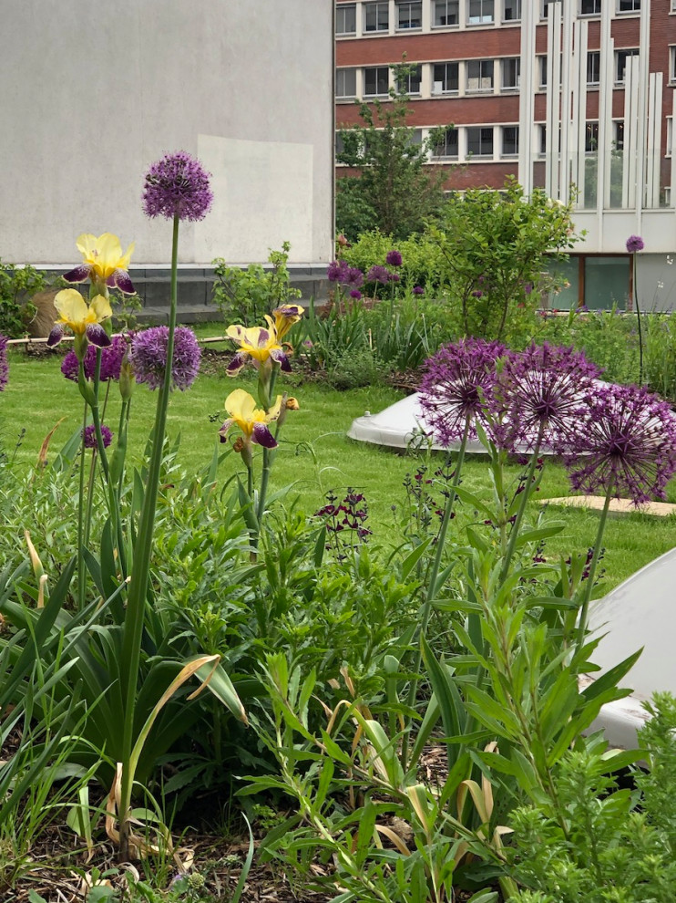 Mittelgroßer Country Dachgarten mit Blumenbeet, direkter Sonneneinstrahlung und Mulch in Paris