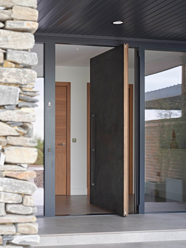 Источник вдохновения для домашнего уюта: входная дверь в современном стиле с поворотной входной дверью и металлической входной дверью