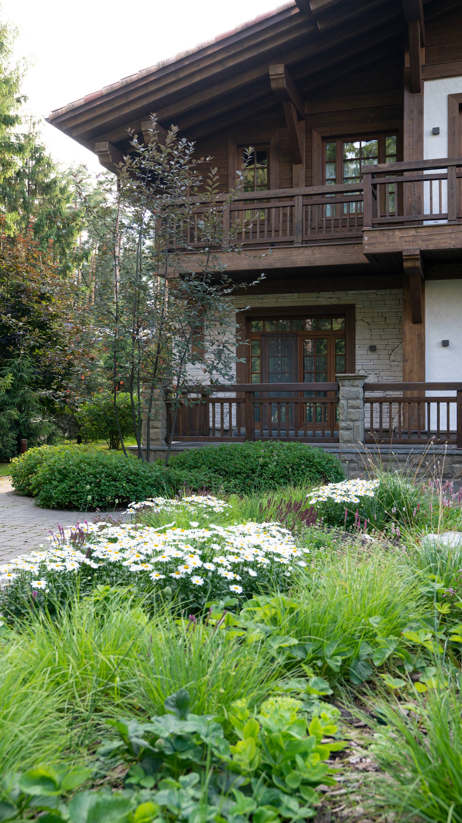 Мечта об Альпах. КП "Вымпел", Новорижское шоссе. 2017 г.