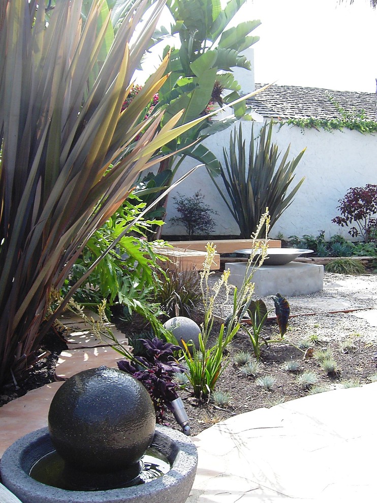 Photo of a contemporary garden in San Diego.