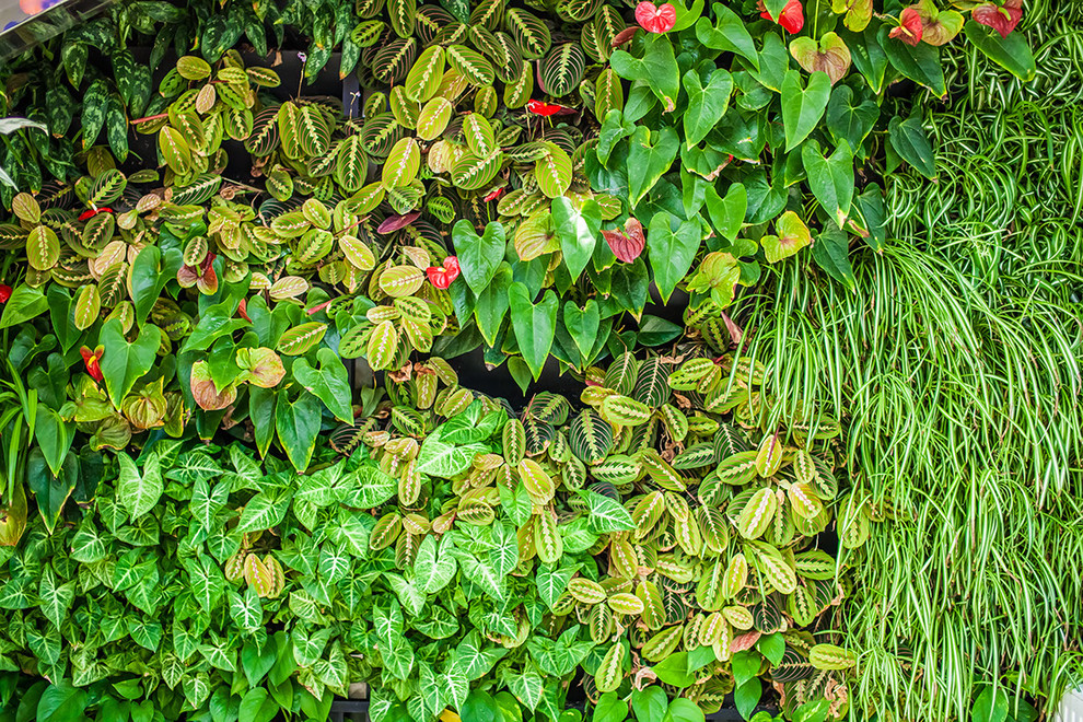 Ландшафтный дизайн