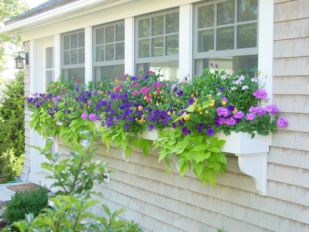 Traditional garden in Boston with a container garden.