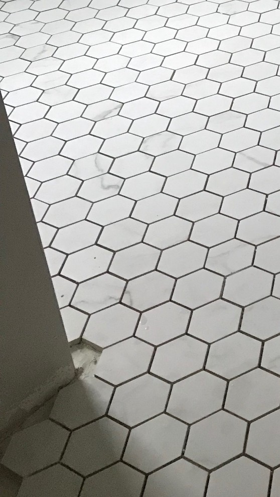 Two different grout colors in one bathroom? Shower niche?