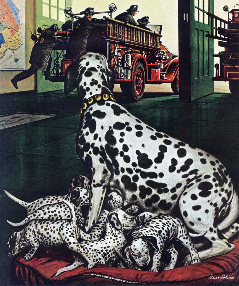 Dalmatian And Pups Painting Print On Canvas By Stevan Dohanos Contemporary Prints And Posters By Marmont Hill