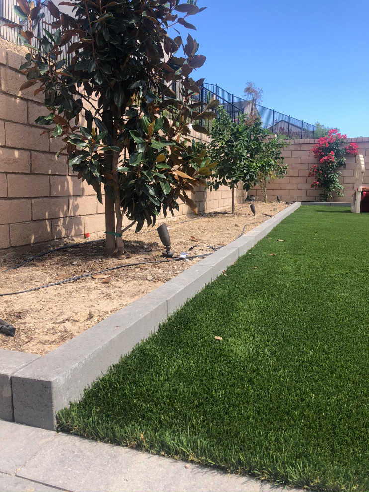 Moderner Garten im Sommer, hinter dem Haus mit Rasenkanten, direkter Sonneneinstrahlung, Betonboden und Steinzaun in San Diego