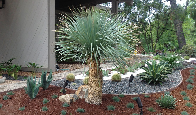 Low-Maintenance Landscape Elements garten