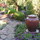 theplantcompany