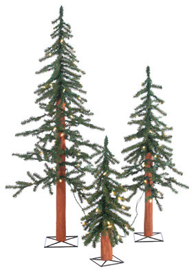 Pre-Lit Alpine Trees With Clear Lights, Set of 3
