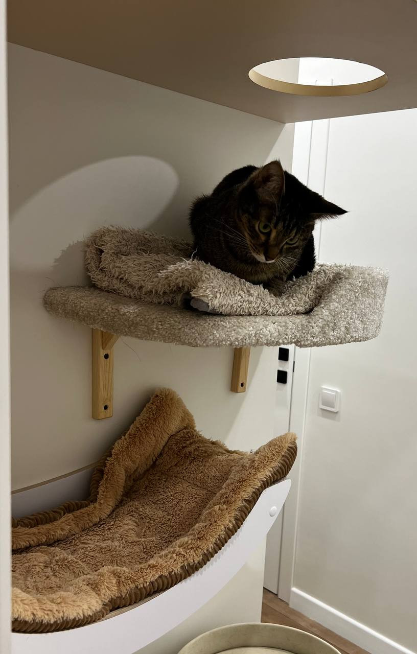 Трехкомнатная квартира в с природными оттенками