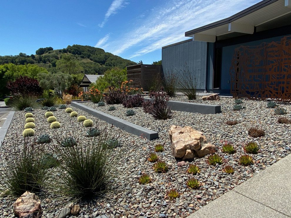 Foto di un ampio giardino xeriscape minimalista esposto in pieno sole davanti casa in estate con pacciame, un muro di contenimento e recinzione in legno