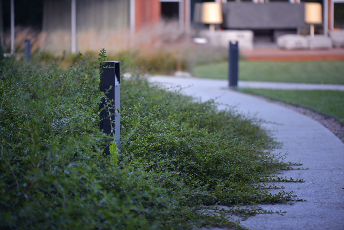 Успенский Лес