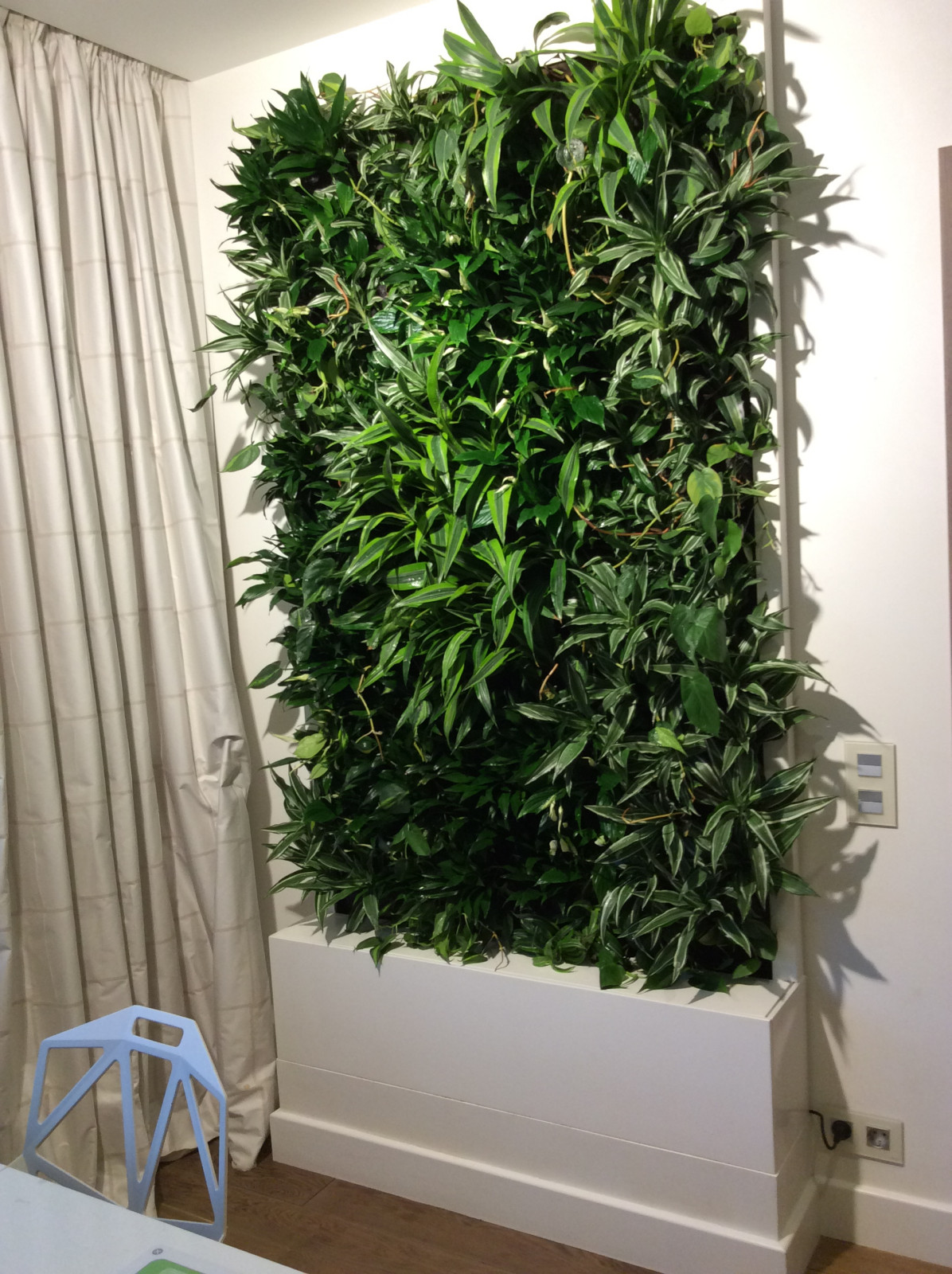 Вертикальный сад в гостинной