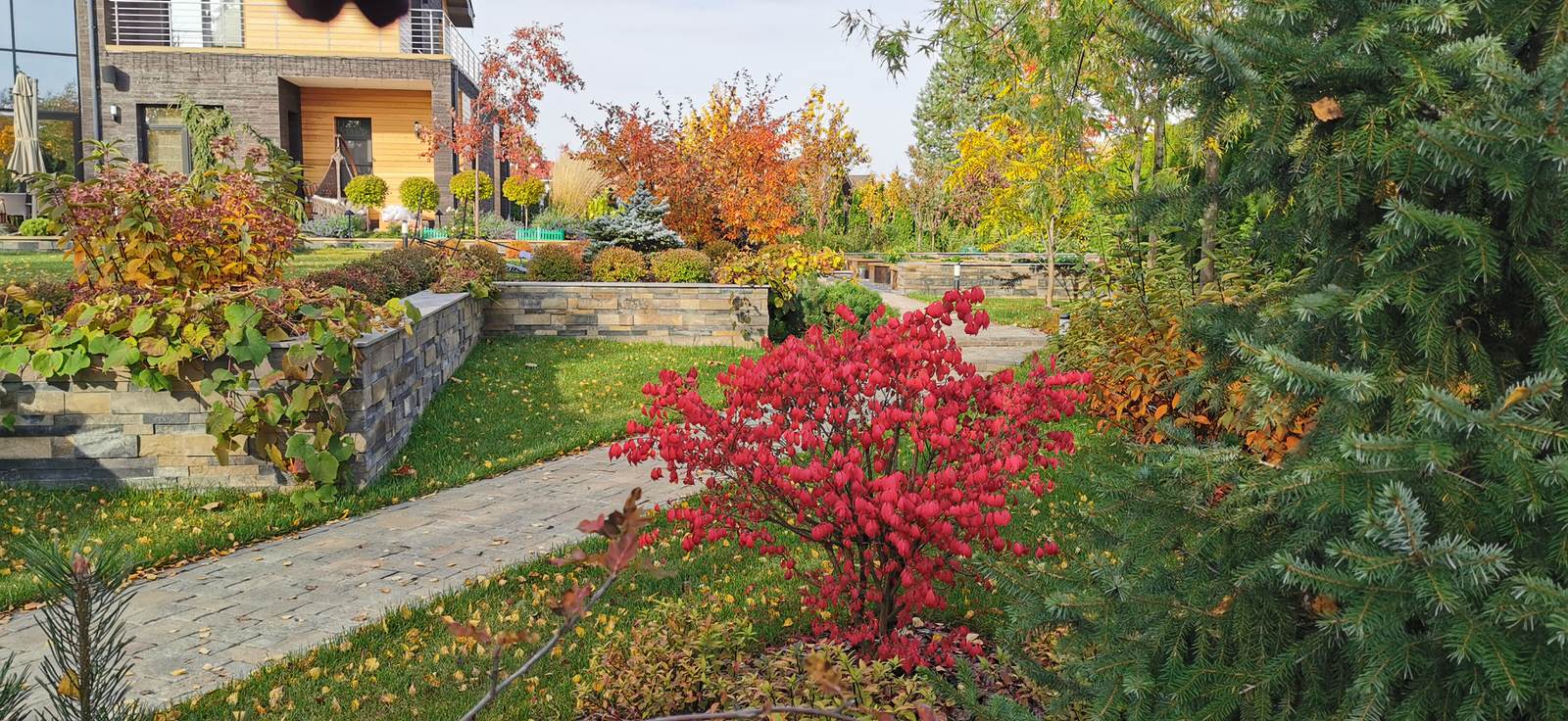 Благоустройство участка 20 соток в КП Пестово