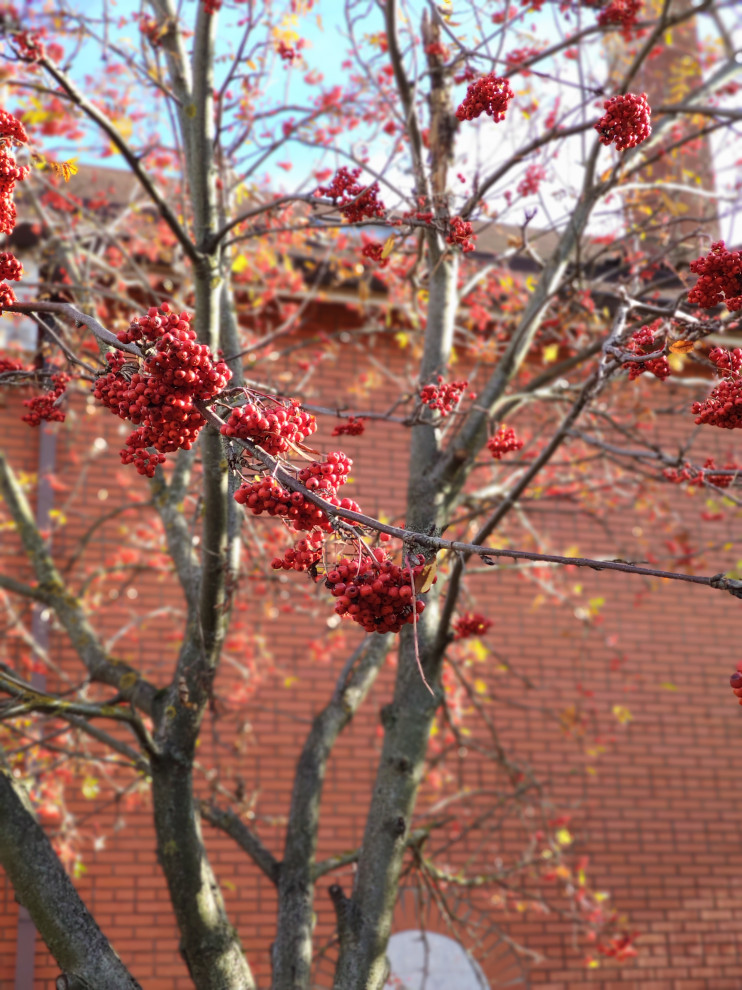 "Параллели"