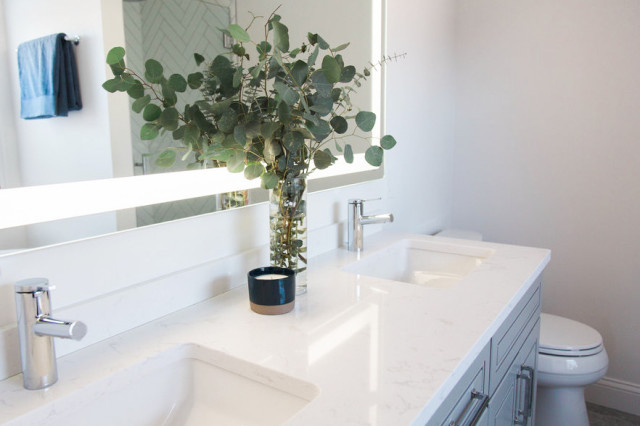 Orono Master Bathroom coastal-bathroom