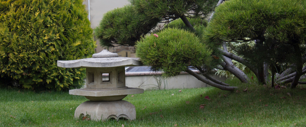 Большой сад на крыше