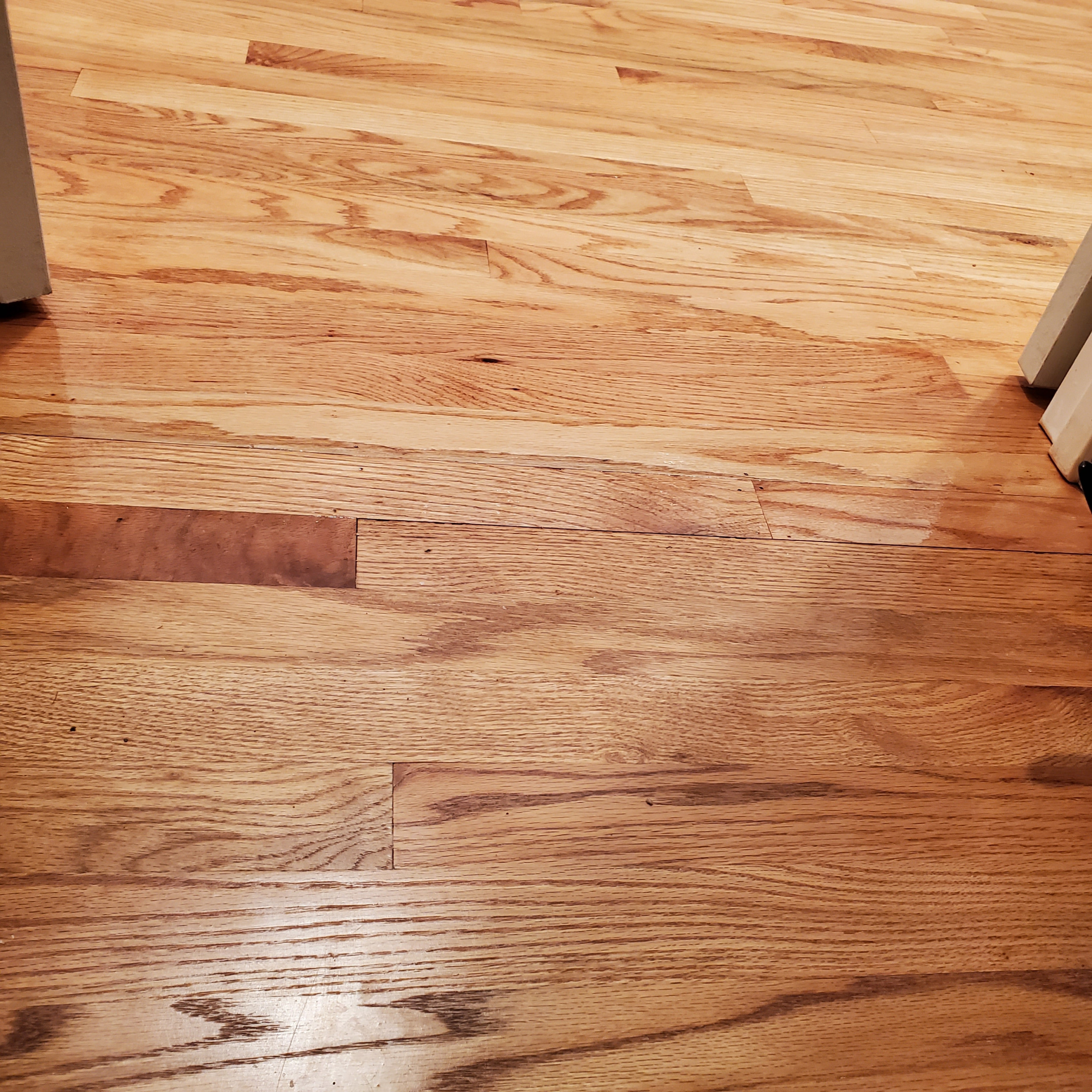 Bathroom to a walk-in closet