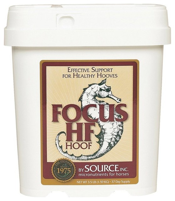 Source Inc. Source Focus HF Multicolor - 573935