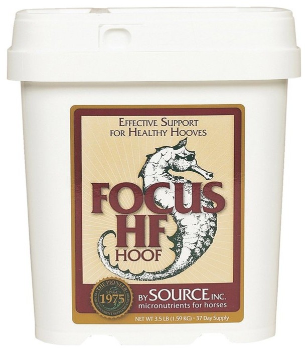 Source Inc. Source Focus HF Multicolor - 573935