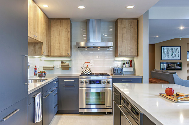Urban Downtown Custom Residential Remodel contemporary-kitchen