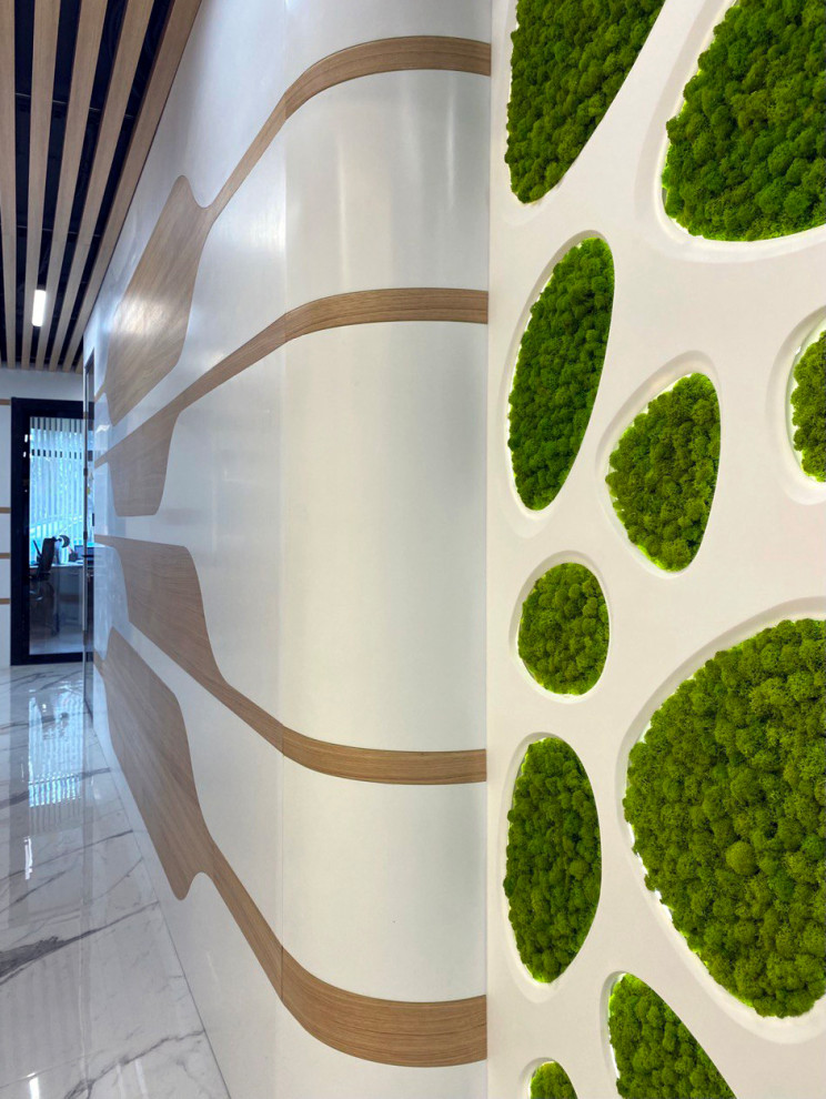 Офис 270 м кв.