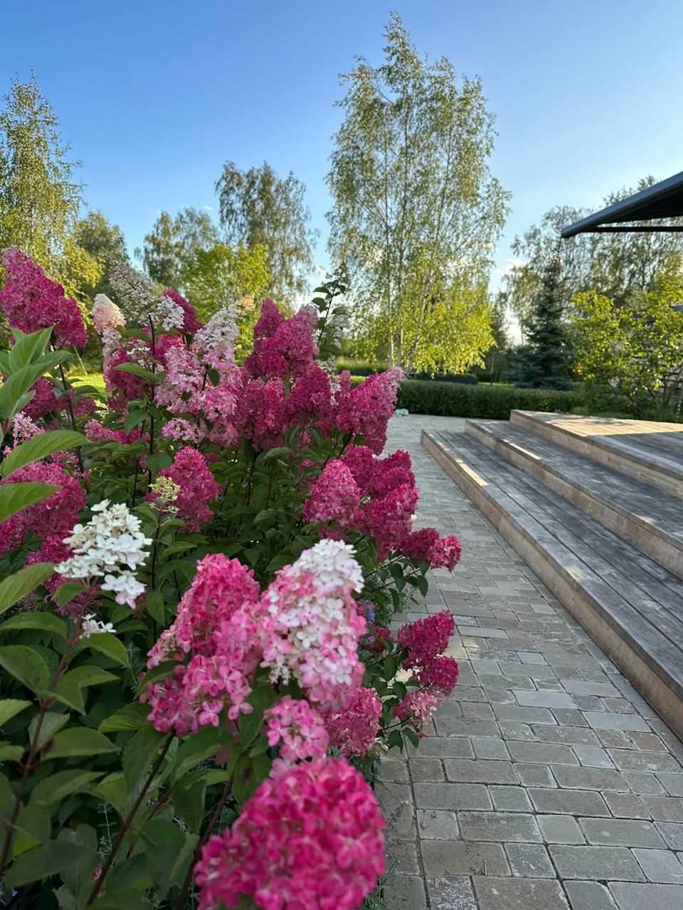 Коттеджный поселок "Новый Мир"