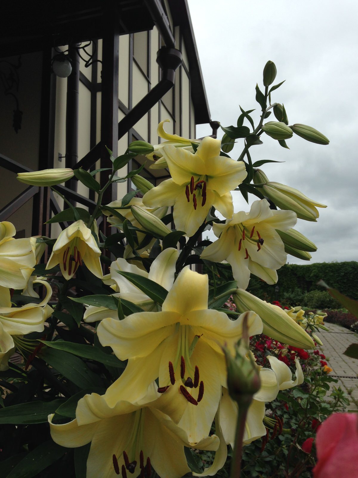 Городской сад