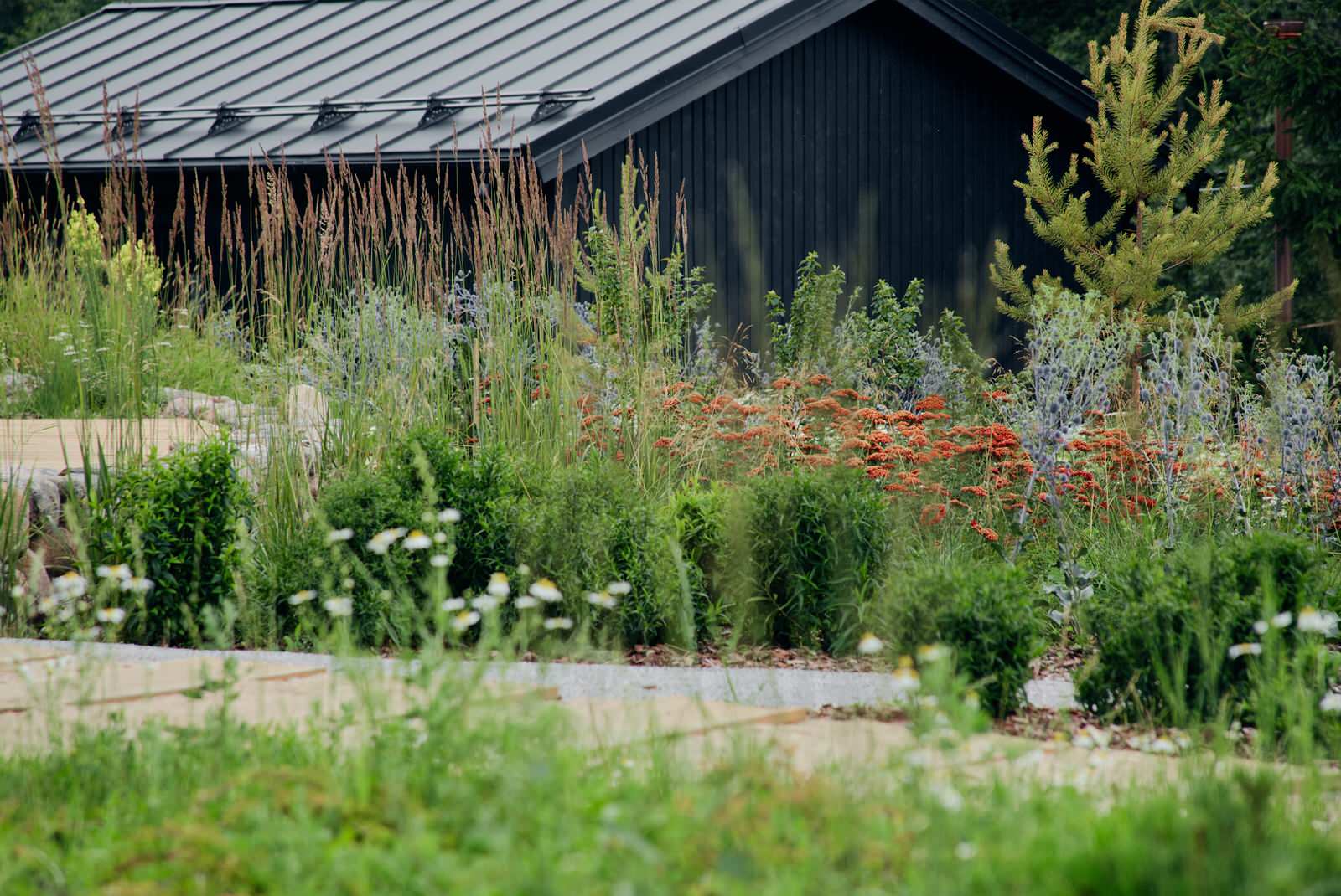 Территория бутик-отеля ASILAN