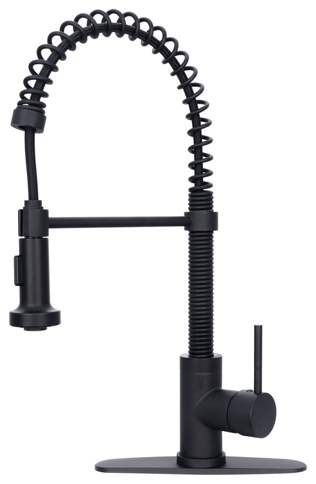 Matte Black PreRinse Spring Kitchen Faucet with Pull Down Sprayer