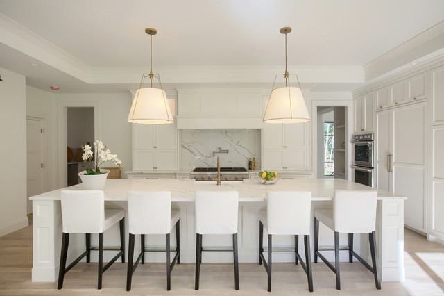 Wellesley Home transitional-kitchen