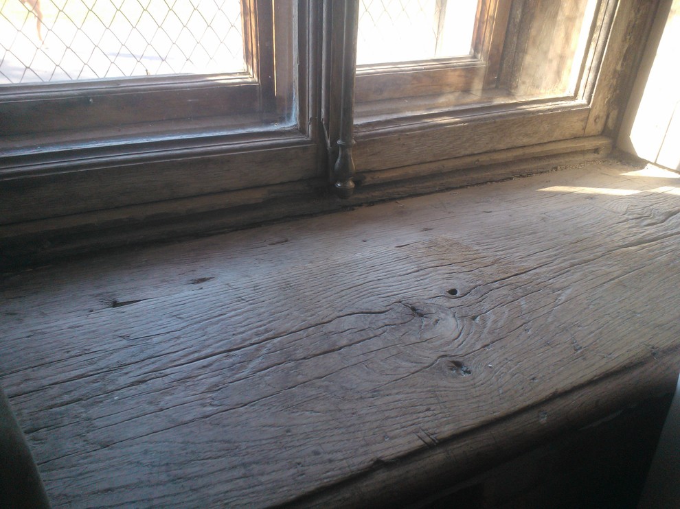 Дворец Ольденбургских (Рамонь)     дуб