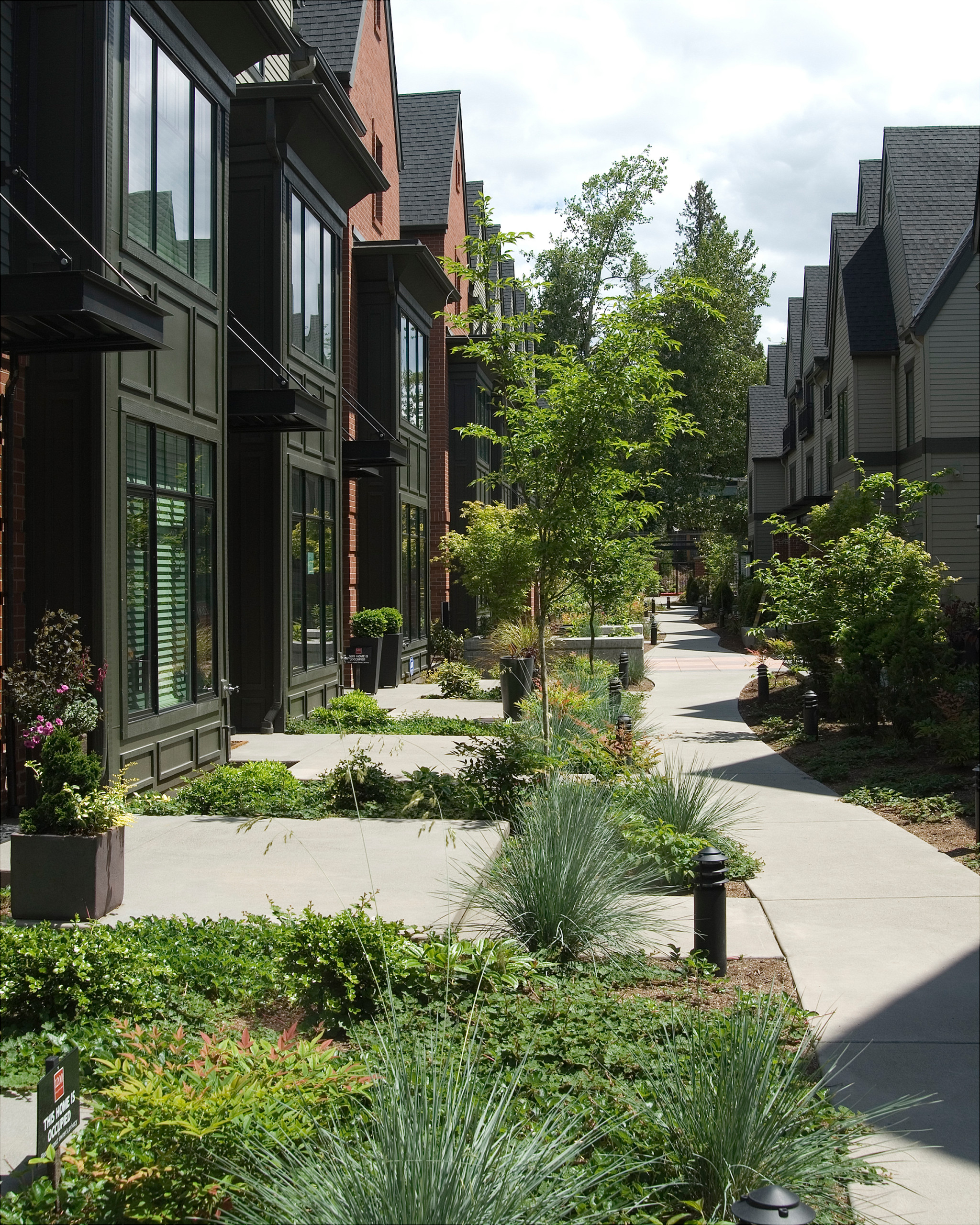 Interior "mews" walkway, gardens, and entries to residences