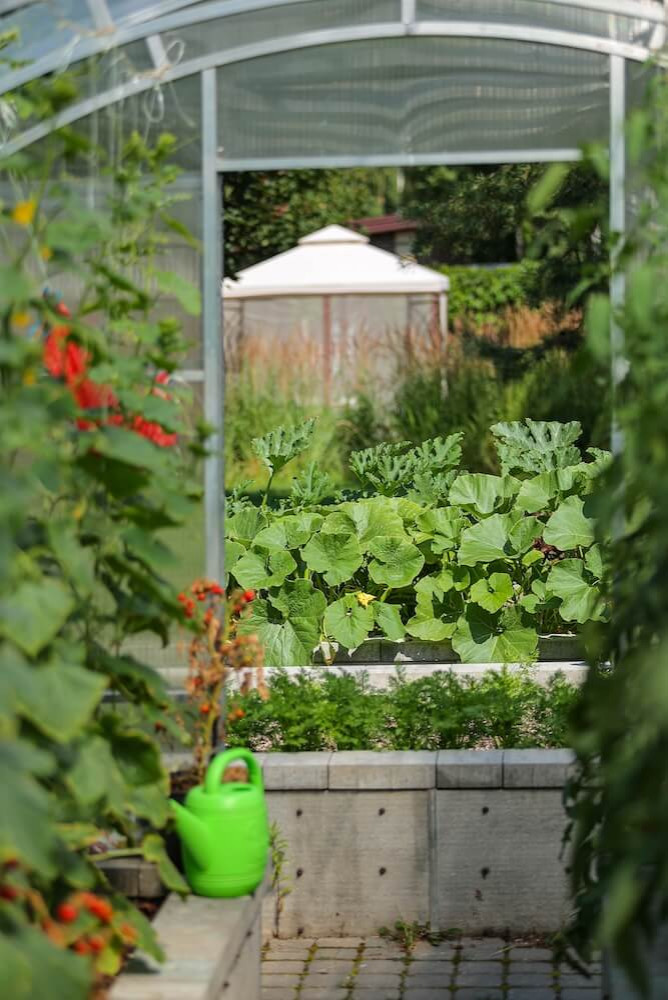 Частный сад "Современный минимализм"