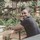 Hemanth