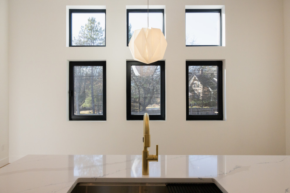 Western Project: Modern European Elegance with Vaulted Ceilings
