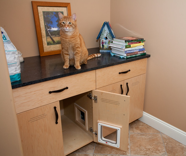 Cats Laundry Room Seattle by Valentine Interiors Inc.